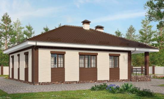 160-015-П Проект одноэтажного дома и гаражом, современный дом из арболита, Зея